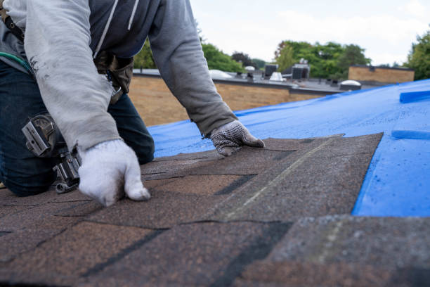 Tile Roofing Contractor in Hampton, IA