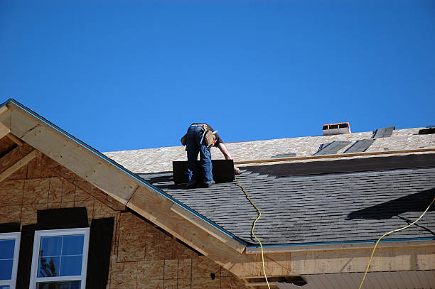 Best Roof Gutter Cleaning  in Hampton, IA