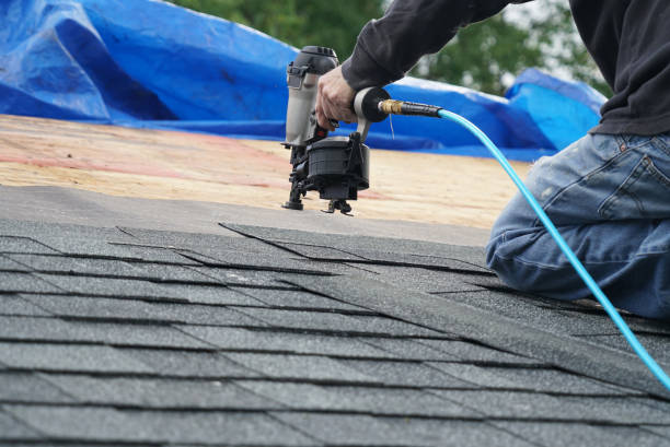 Best Metal Roofing Contractor  in Hampton, IA