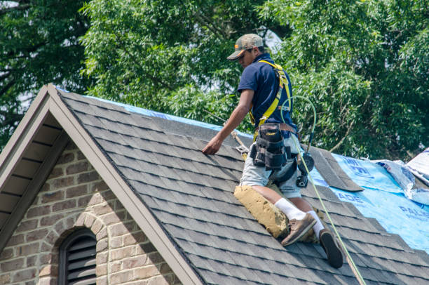 Best Flat Roof Repair Services  in Hampton, IA